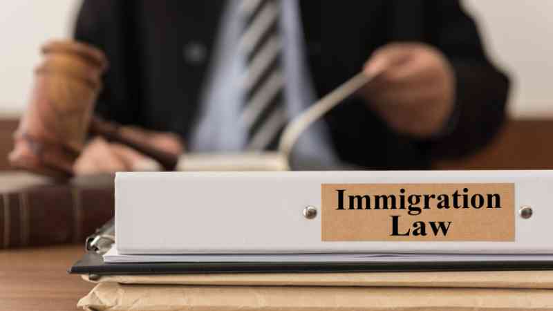 immigration lawyer